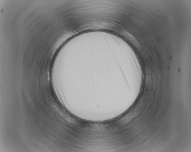 X0000060741226200512081909