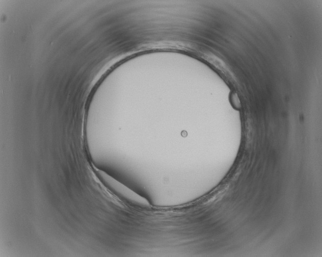 X0000060741228200512081909