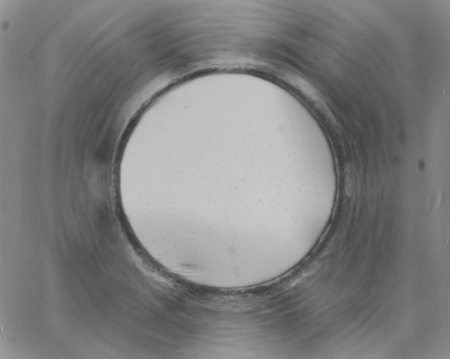 X0000060741229200512081909