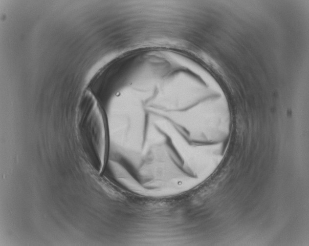 X0000060741230200512081909