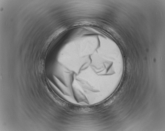 X0000060741233200512081909