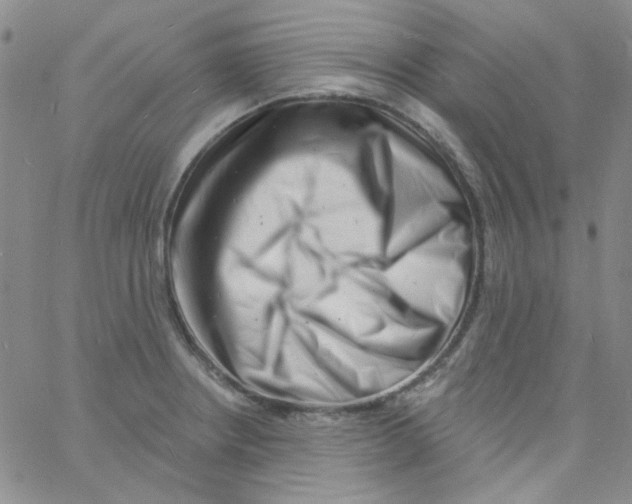 X0000060741234200512081909