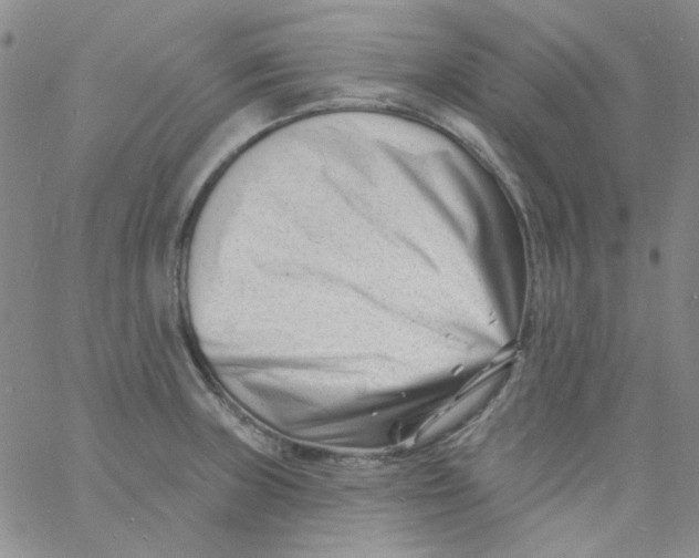 X0000060741235200512081909