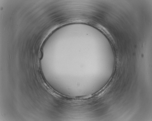 X0000060741236200512081909