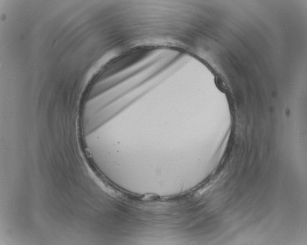 X0000060741237200512081909