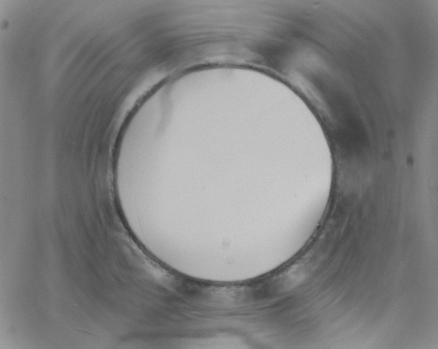 X0000060741240200512081909