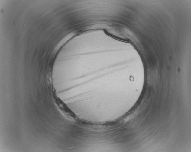 X0000060741241200512081909