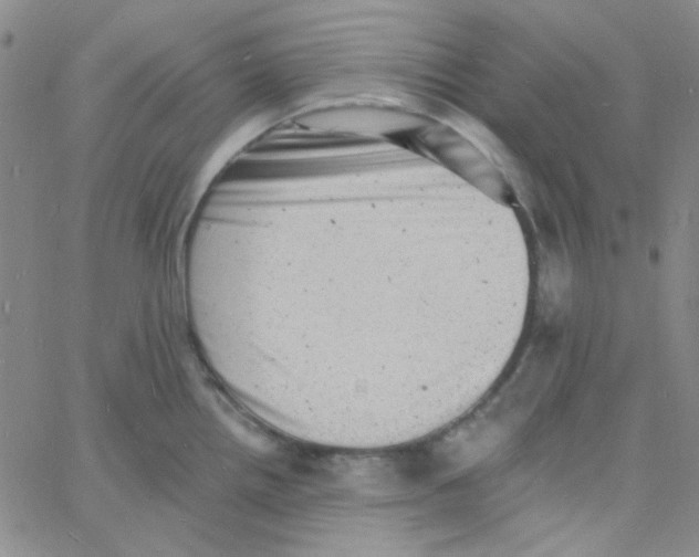 X0000060741242200512081909