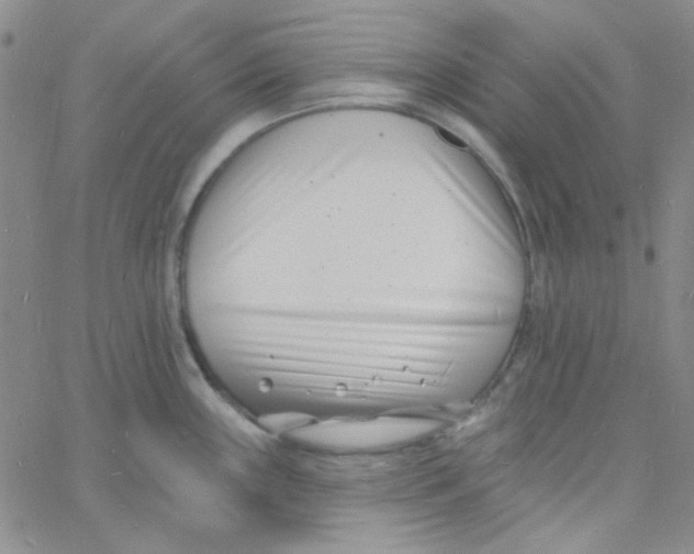 X0000060741243200512081909