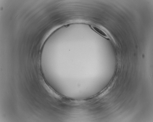 X0000060741244200512081909