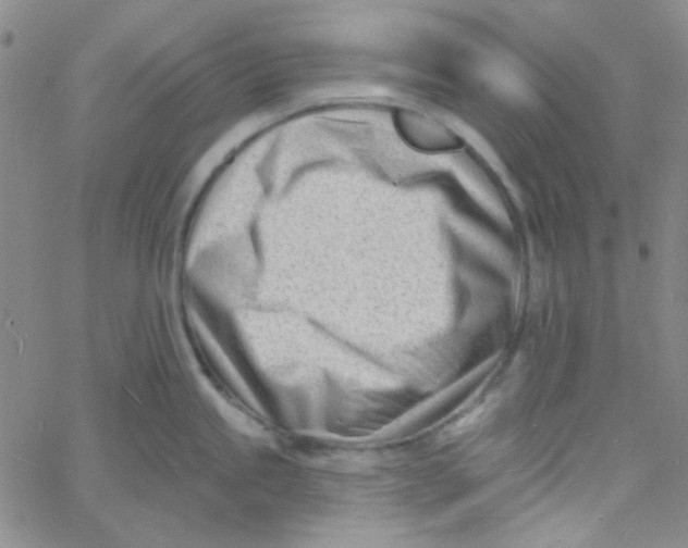 X0000060741245200512081910