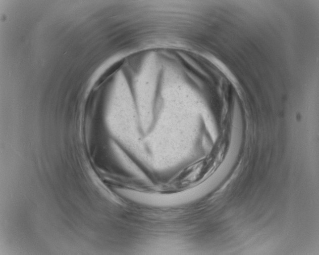 X0000060741246200512081910