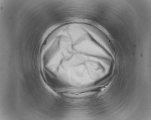 X0000060741247200512081910