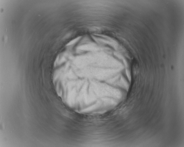 X0000060741249200512081909