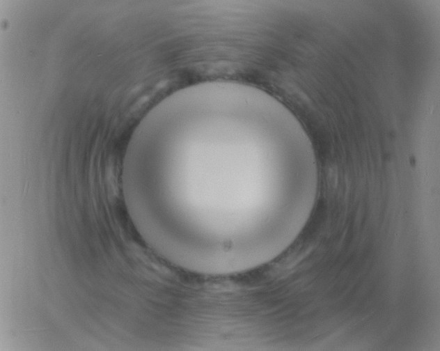 X0000060741250200512081909