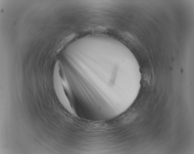 X0000060741252200512081909