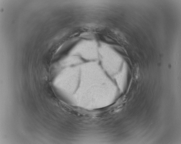 X0000060741253200512081909