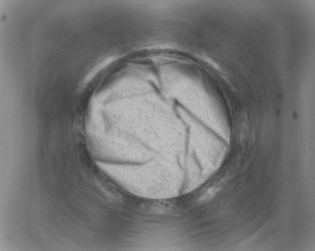 X0000060741255200512081909