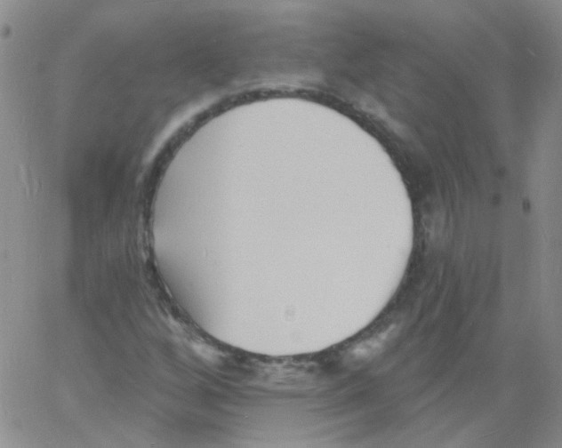 X0000060741256200512081909