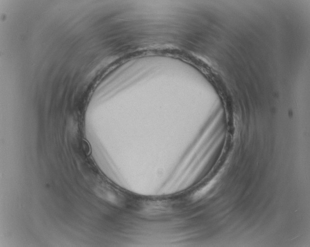 X0000060741257200512081909