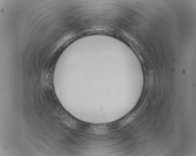 X0000060741258200512081909