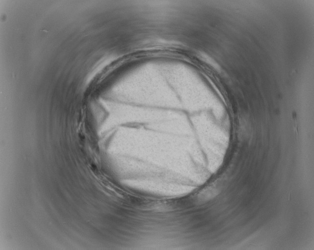 X0000060741259200512081909