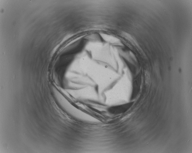 X0000060741260200512081909