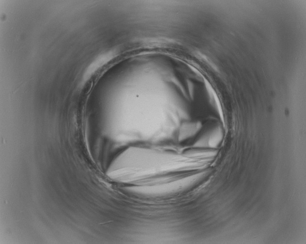 X0000060741261200512081909