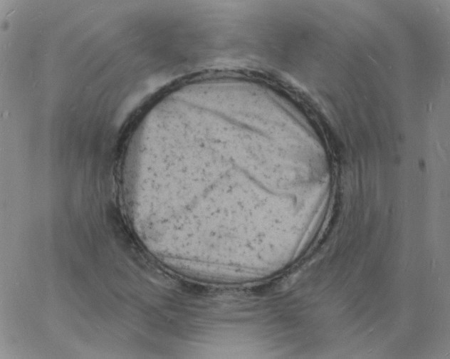 X0000060741262200512081909