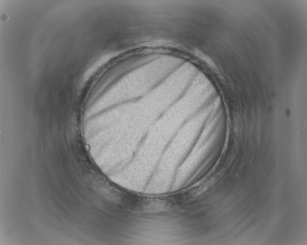 X0000060741263200512081909