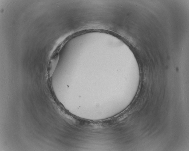 X0000060741264200512081909