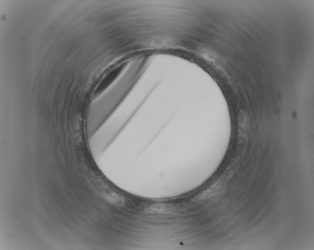 X0000060741265200512081909