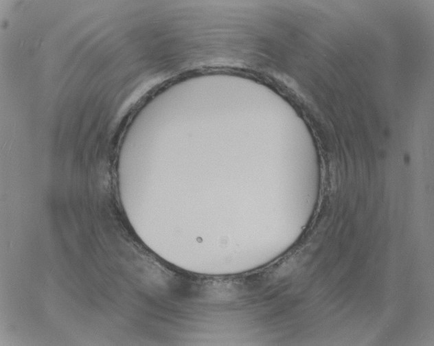 X0000060741266200512081908