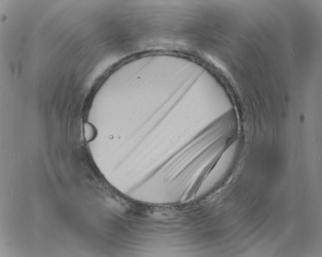 X0000060741267200512081908