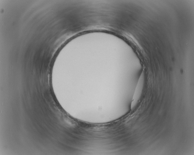 X0000060741268200512081908