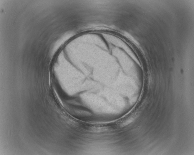 X0000060741269200512081908