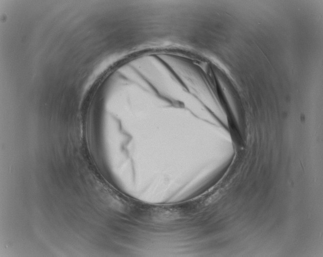 X0000060741270200512081908