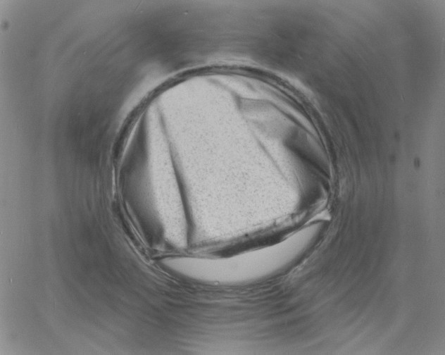 X0000060741271200512081908