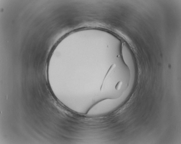 X0000060741272200512081908