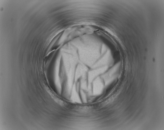 X0000060741273200512081908