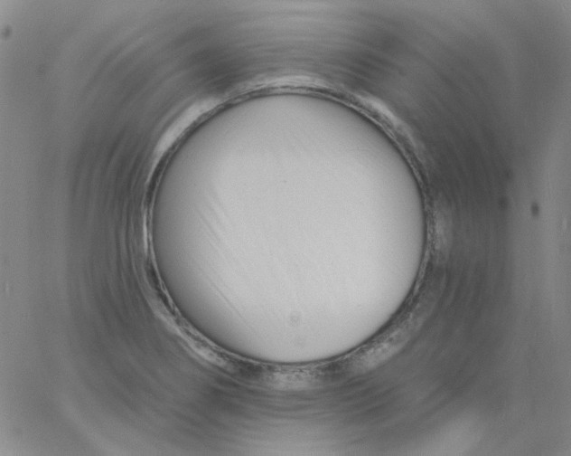 X0000060741274200512081908