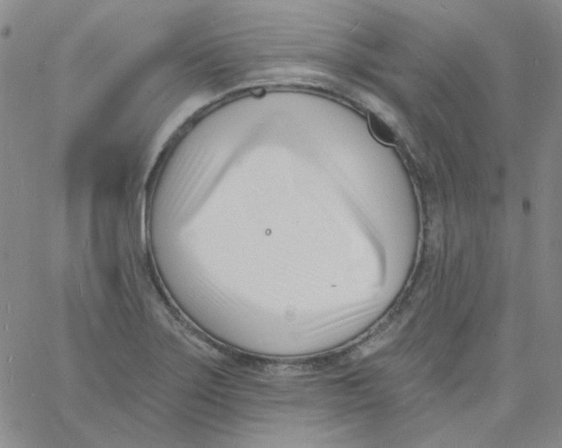 X0000060741275200512081908