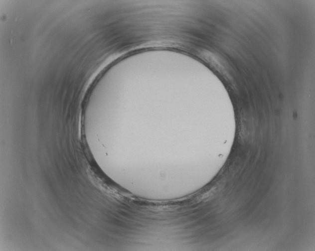 X0000060741276200512081908