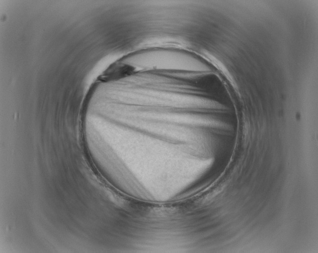 X0000060741277200512081908