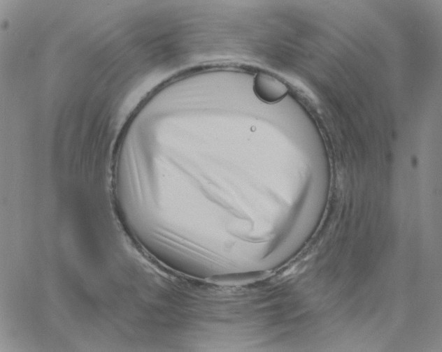 X0000060741279200512081908