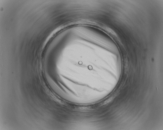 X0000060741280200512081908