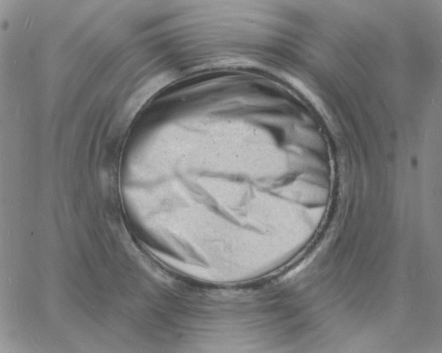 X0000060741281200512081908