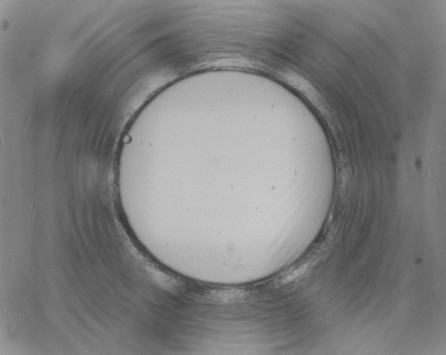 X0000060741282200512081908