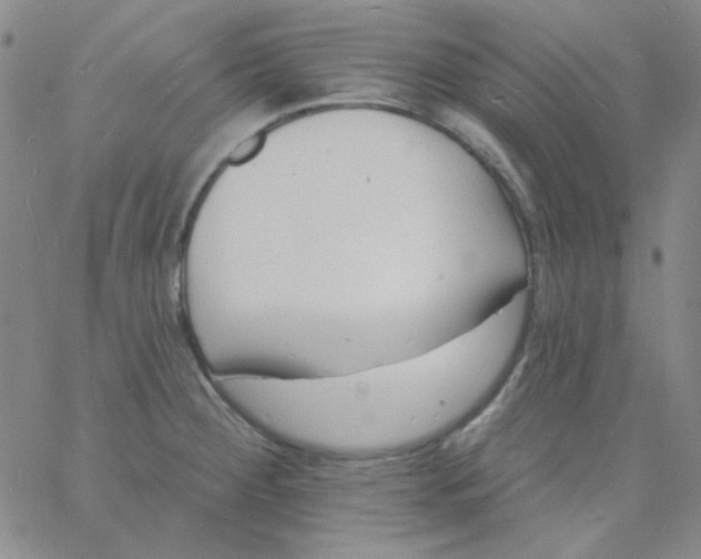 X0000060741284200512081908