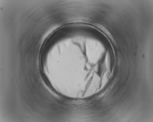 X0000060741285200512081908